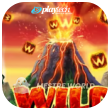 PLAYTECH273